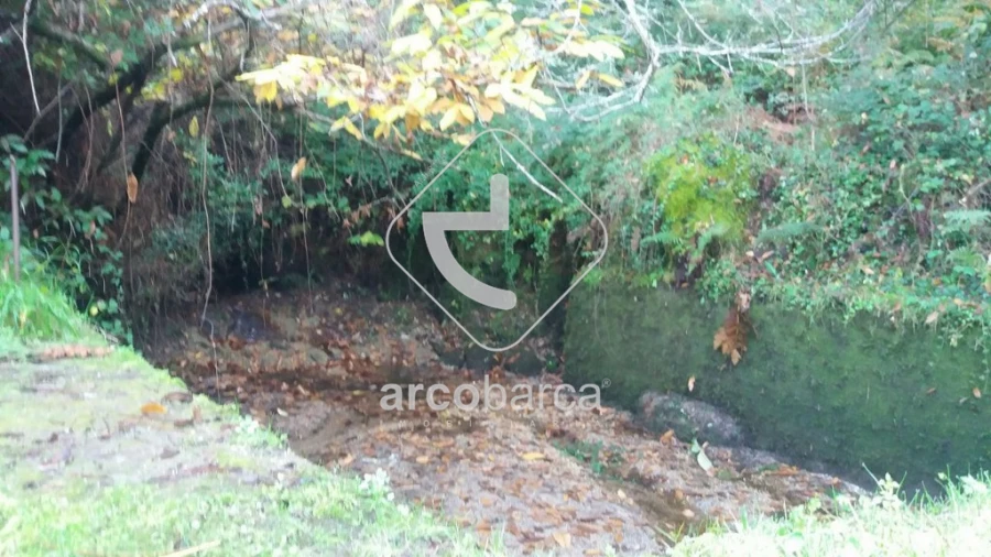 Terreno para Venda em Lavradas Foto 9