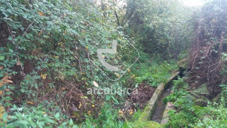 Terreno para Venda em Lavradas Foto 10