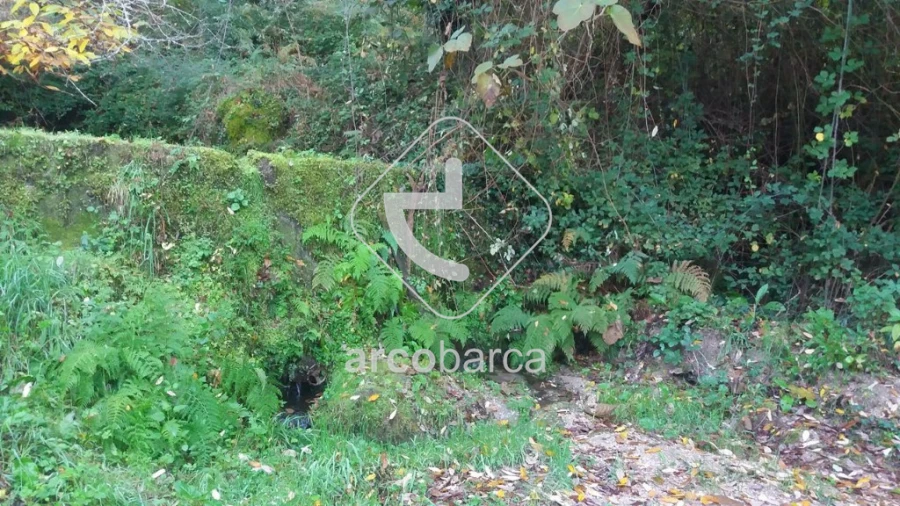 Terreno para Venda em Lavradas Foto 4