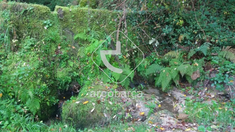 Terreno para Venda em Lavradas Foto 7