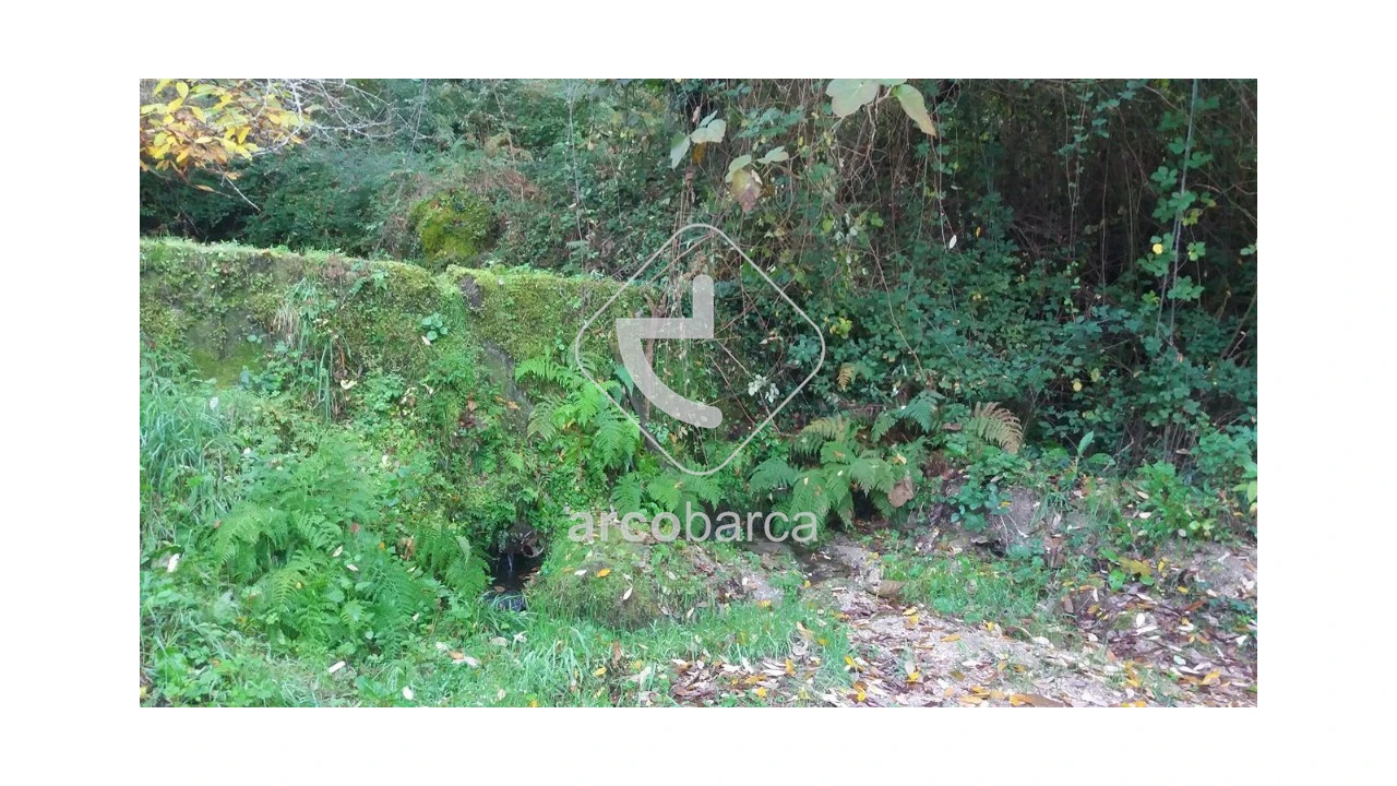 Terreno para Venda em Lavradas Foto 4