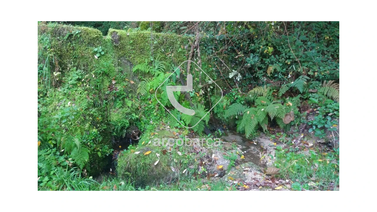 Terreno para Venda em Lavradas Foto 7