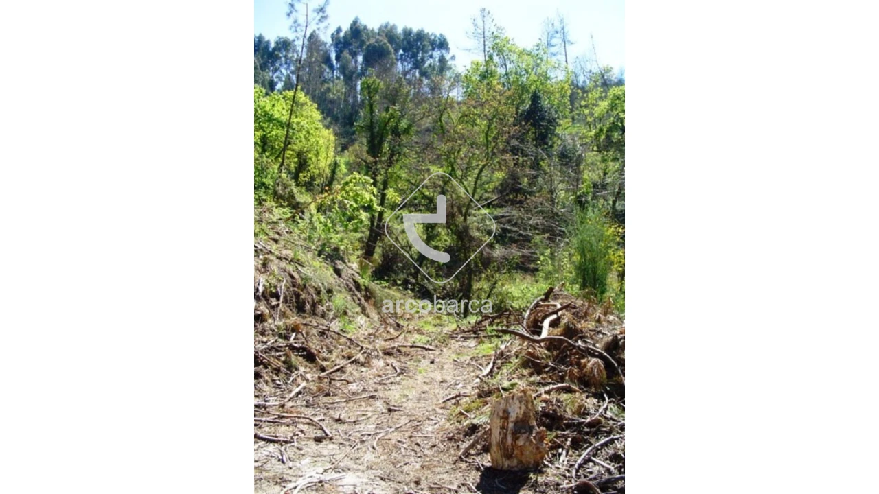 Terreno para Venda em Lavradas Foto 6