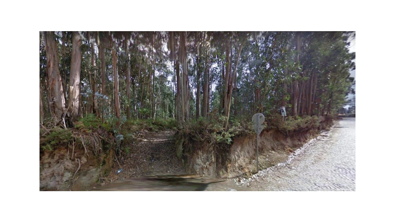 Terreno para Venda em Pedroso e Seixezelo Foto 1
