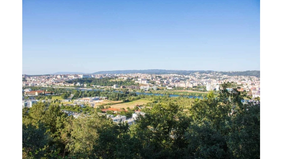 Terreno para Venda em Eiras e São Paulo de Frades Foto 2