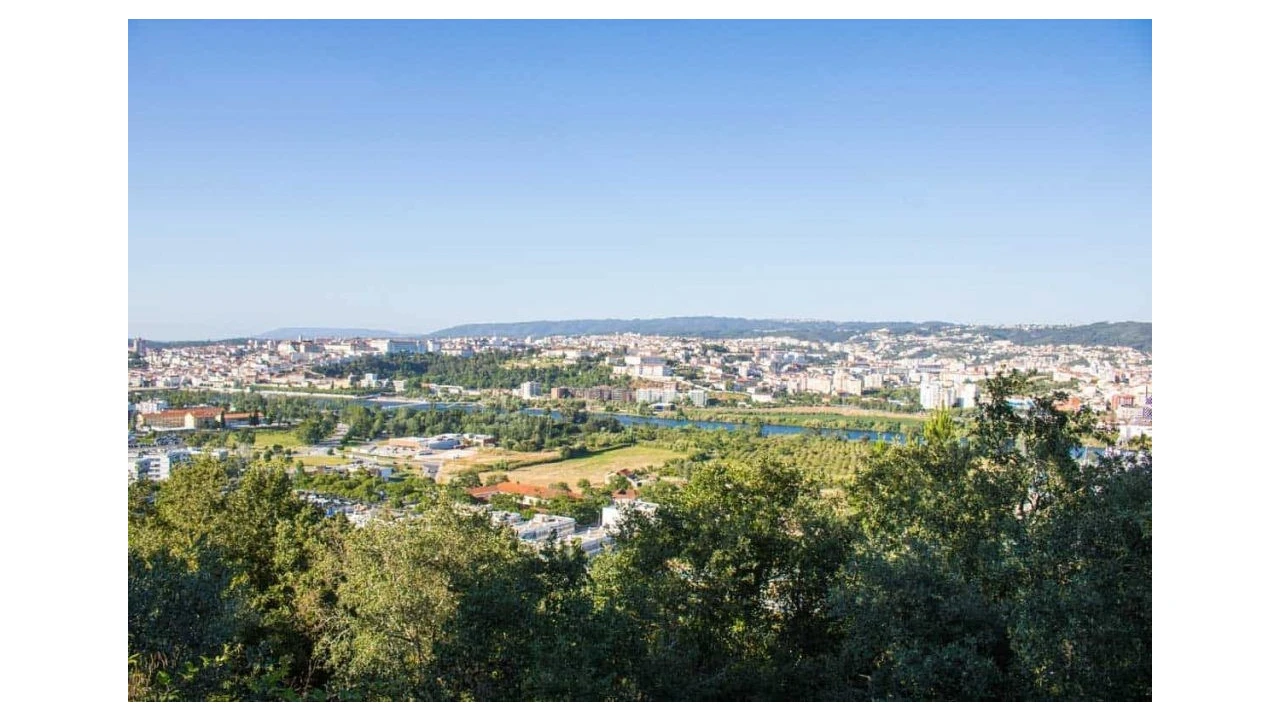 Terreno para Venda em Eiras e São Paulo de Frades Foto 2