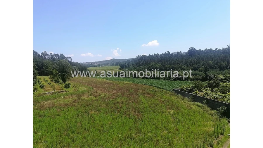 Terreno para Venda em Ferreiros, Prozelo e Besteiros Foto 2