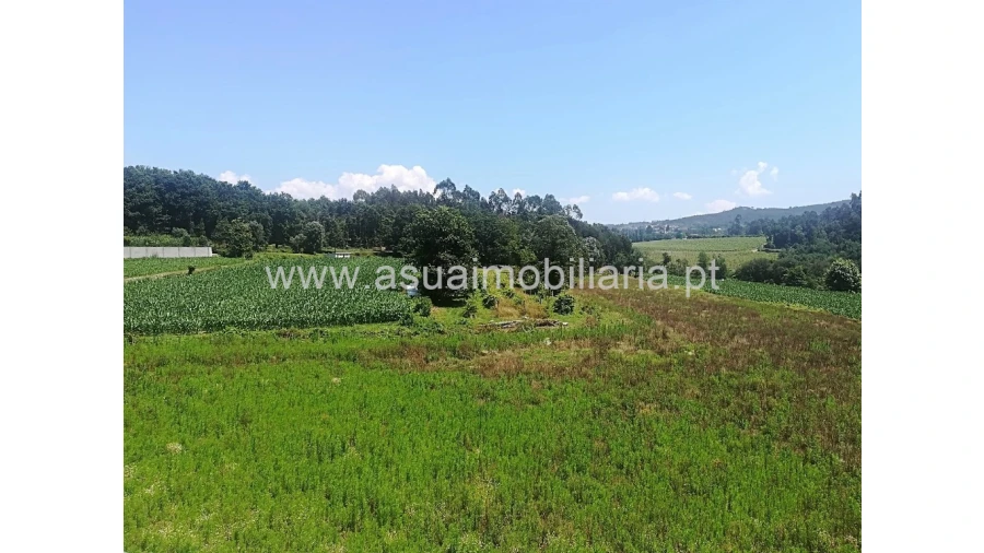Terreno para Venda em Ferreiros, Prozelo e Besteiros Foto 3