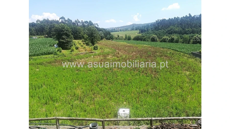 Terreno para Venda em Ferreiros, Prozelo e Besteiros