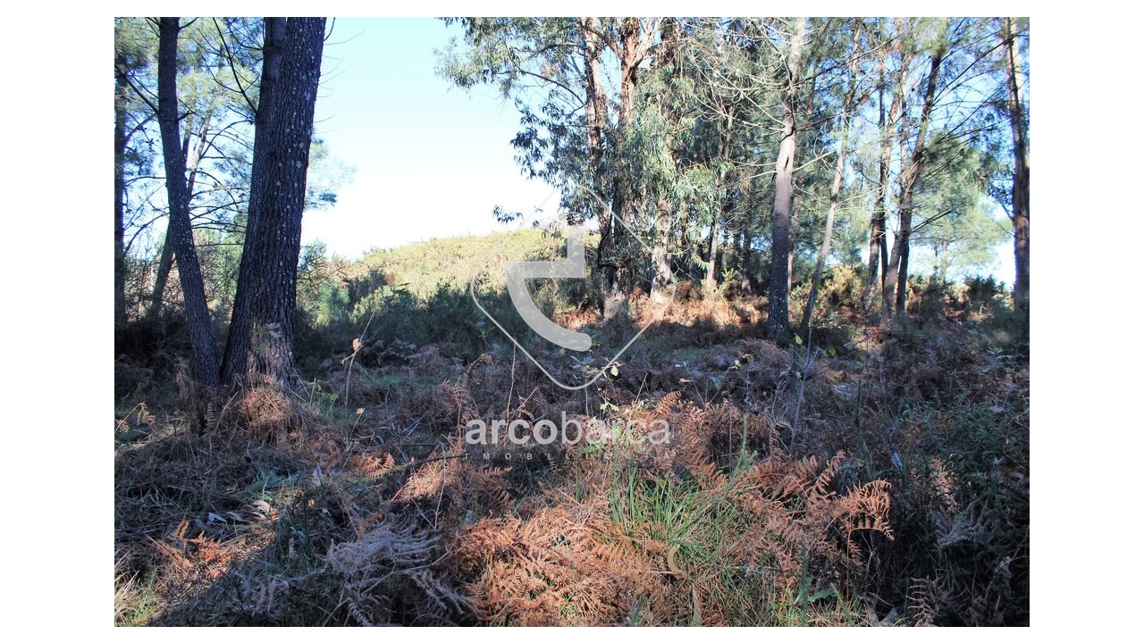 Terreno para Venda em Oleiros Foto 5
