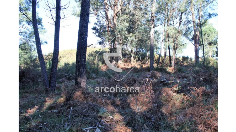 Terreno para Venda em Oleiros Foto 4