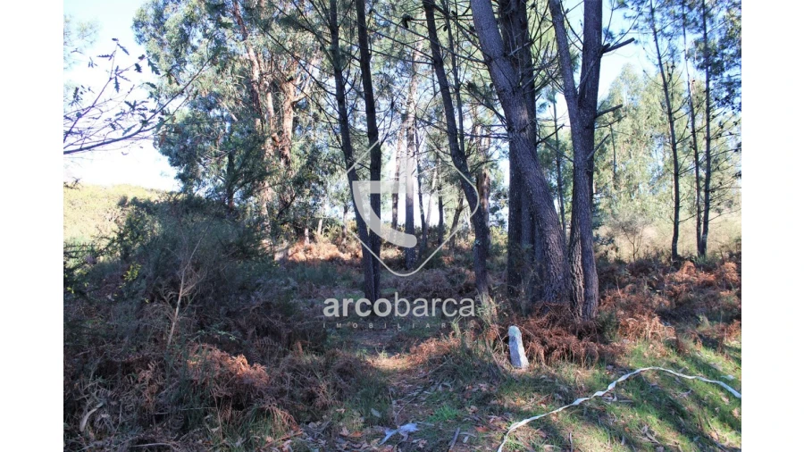 Terreno para Venda em Oleiros Foto 1