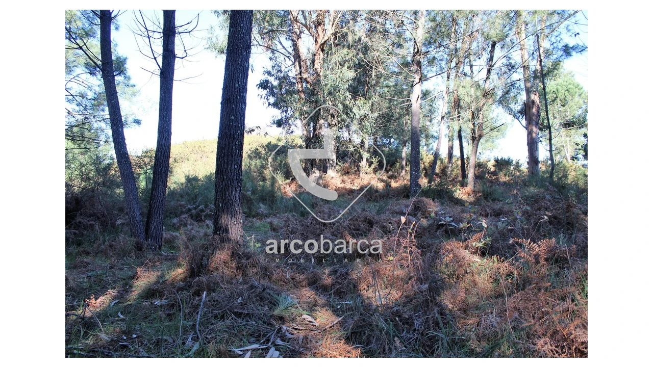 Terreno para Venda em Oleiros Foto 4