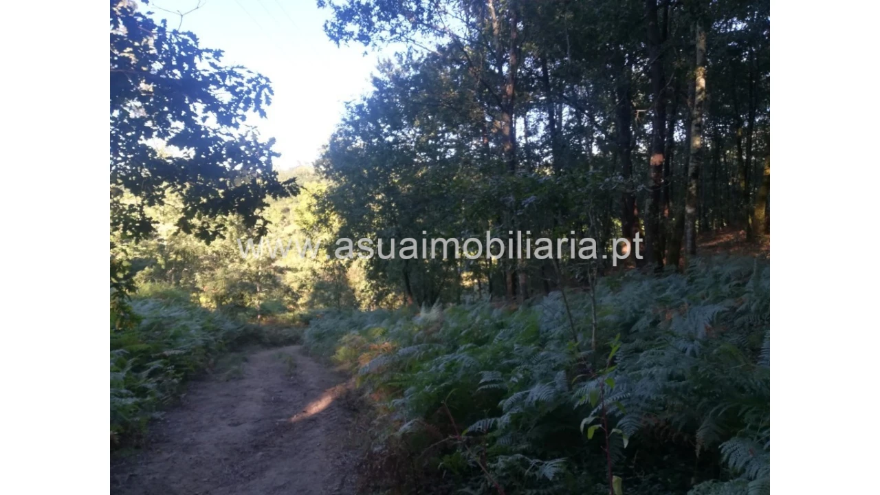 Terreno para Venda em Torre e Portela Foto 5