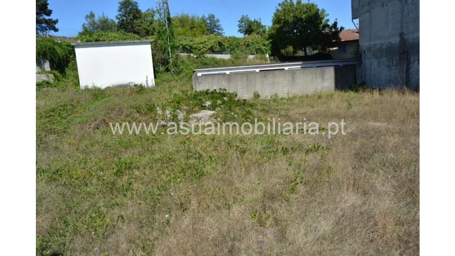 Terreno para Venda em Ferreiros, Prozelo e Besteiros Foto 8