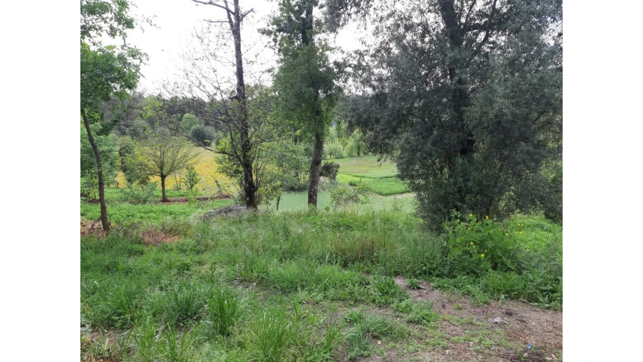 Terreno para Venda em Fiscal Foto 8