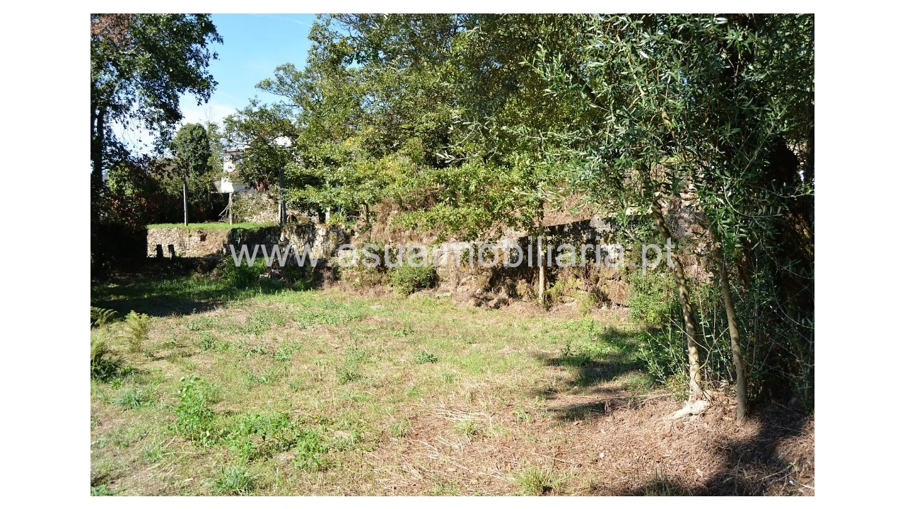 Terreno para Venda em Fiscal Foto 3