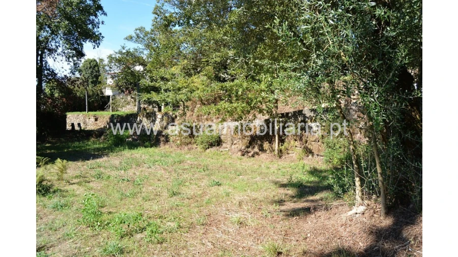 Terreno para Venda em Fiscal Foto 3