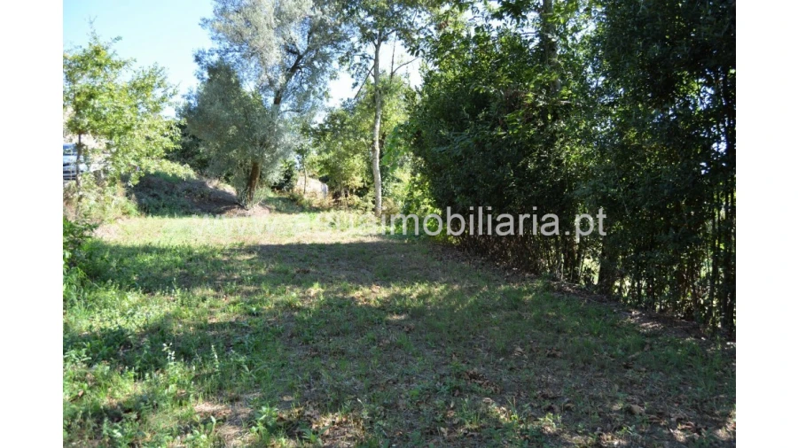 Terreno para Venda em Fiscal Foto 6