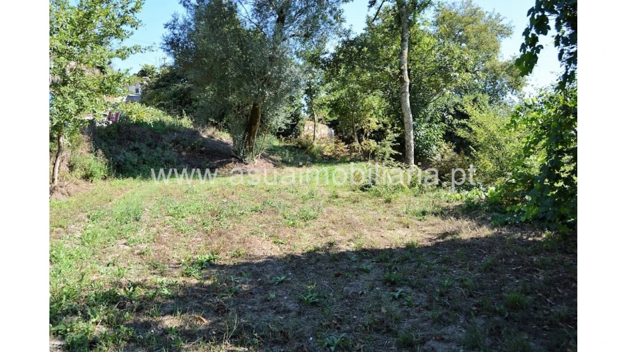 Terreno para Venda em Fiscal Foto 4