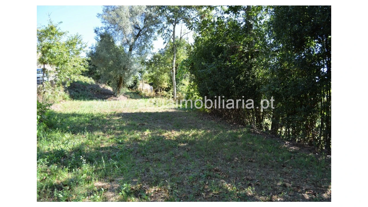 Terreno para Venda em Fiscal Foto 6