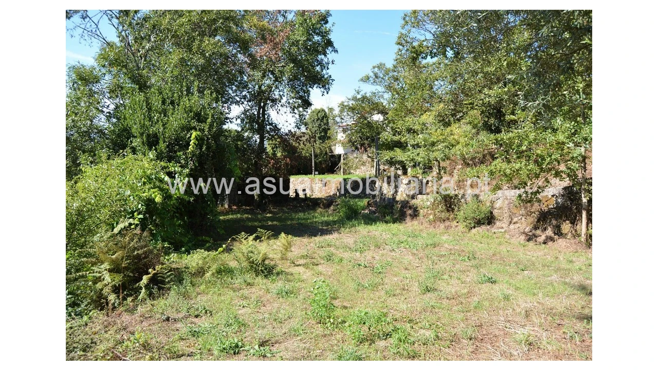 Terreno para Venda em Fiscal Foto 1