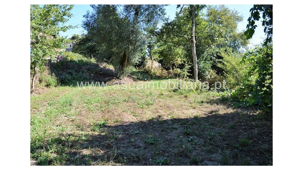 Terreno para Venda em Fiscal Foto 4