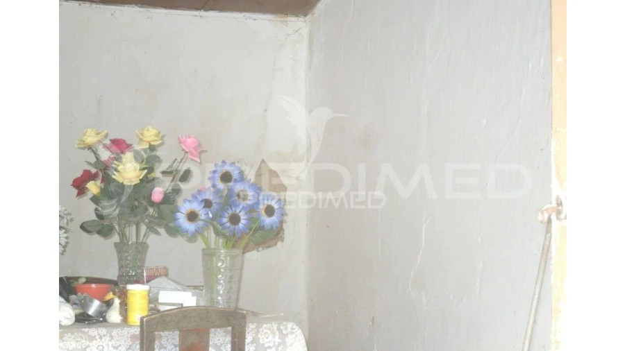 Quinta T2 para Venda em Lourinhã e Atalaia Foto 10