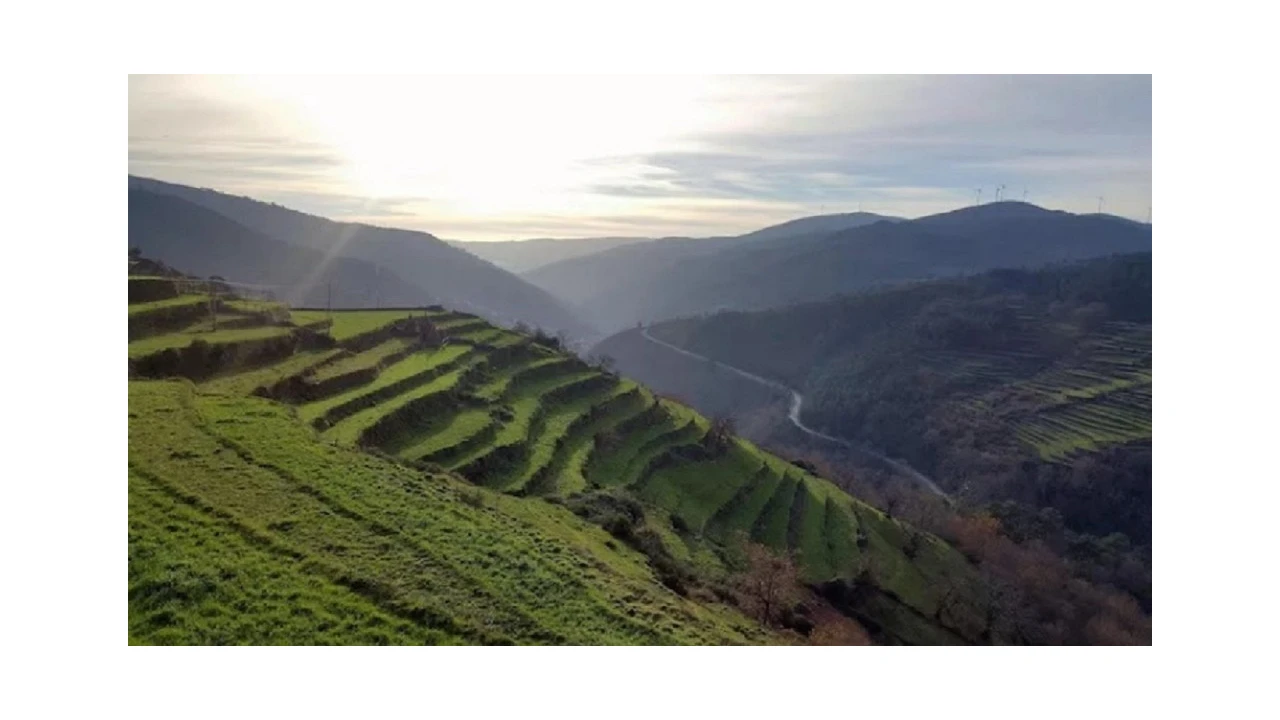 Quinta T2 para Venda em Sistelo Foto 13