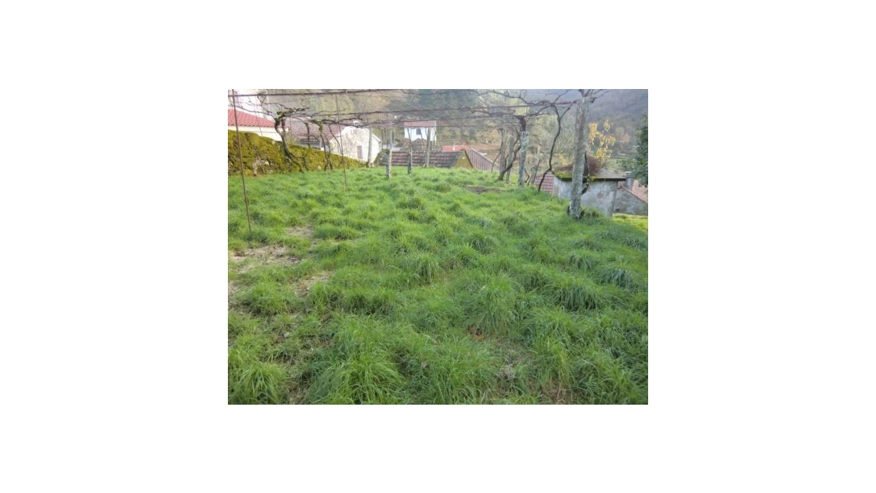 Quinta T2 para Venda em Sistelo Foto 6