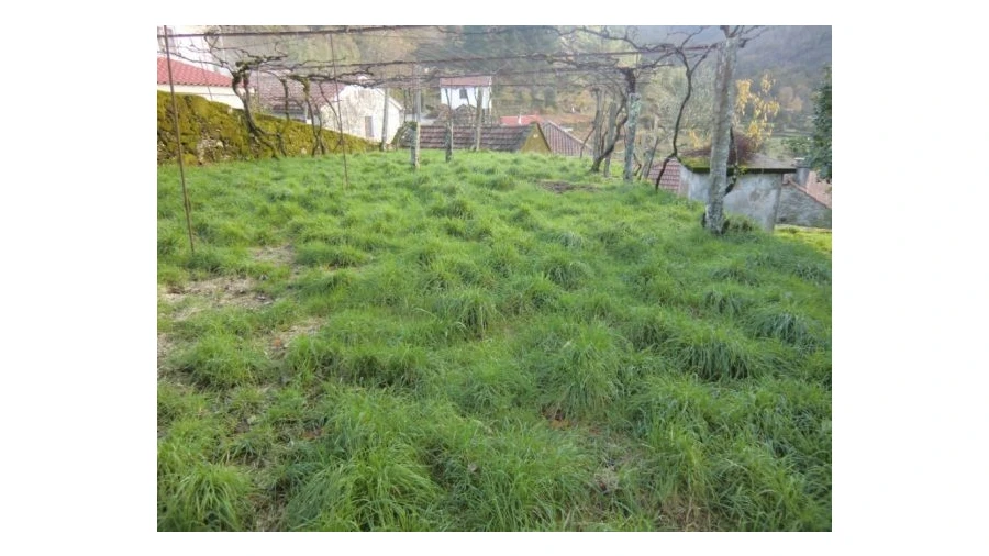 Quinta T2 para Venda em Sistelo Foto 6