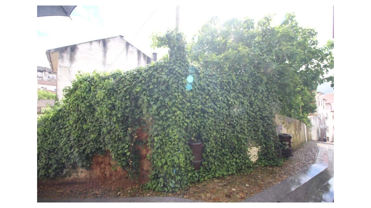Terreno para Venda em São Martinho do Bispo e Ribeira de Frades Foto 3