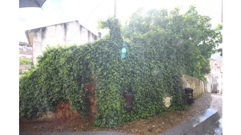 Terreno para Venda em São Martinho do Bispo e Ribeira de Frades