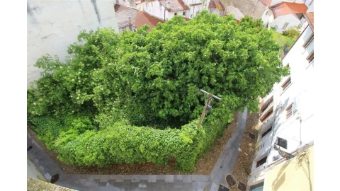 Terreno para Venda em São Martinho do Bispo e Ribeira de Frades