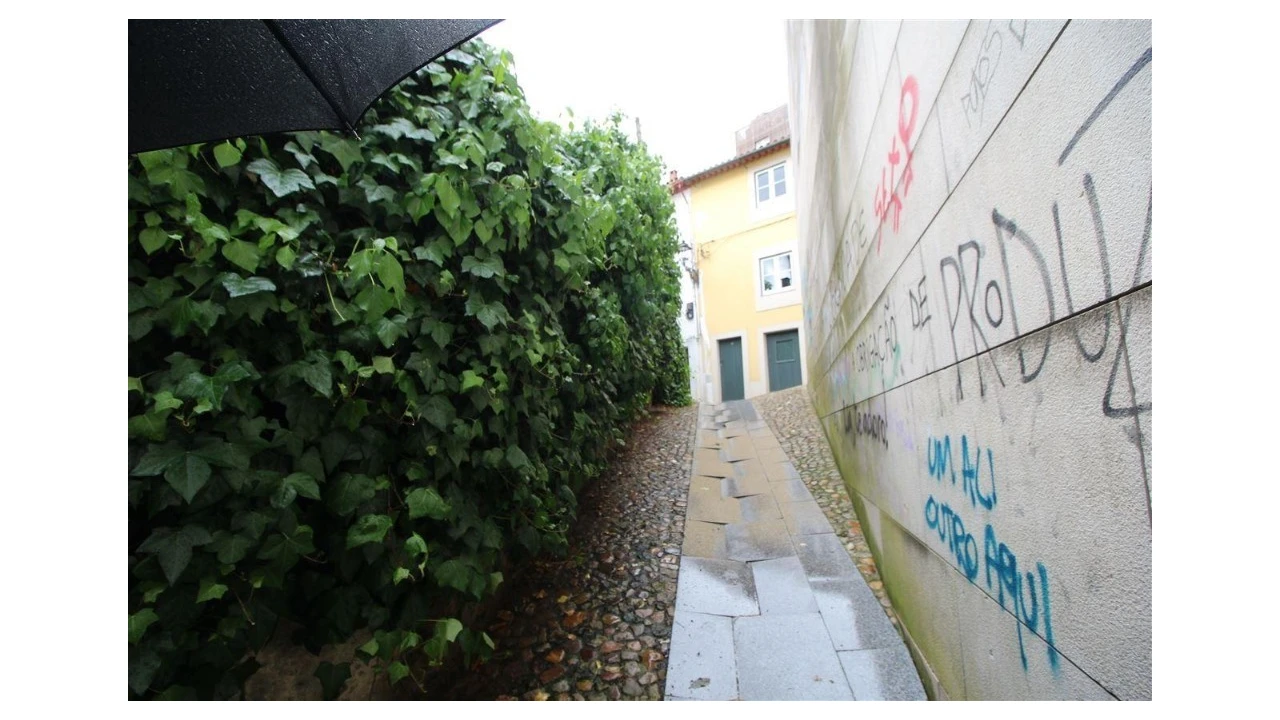 Terreno para Venda em São Martinho do Bispo e Ribeira de Frades Foto 4