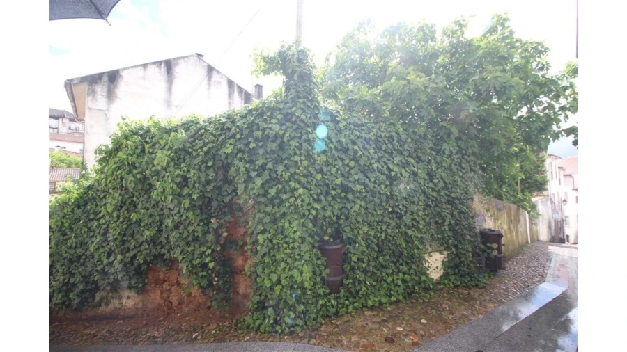 Terreno para Venda em São Martinho do Bispo e Ribeira de Frades Foto 3