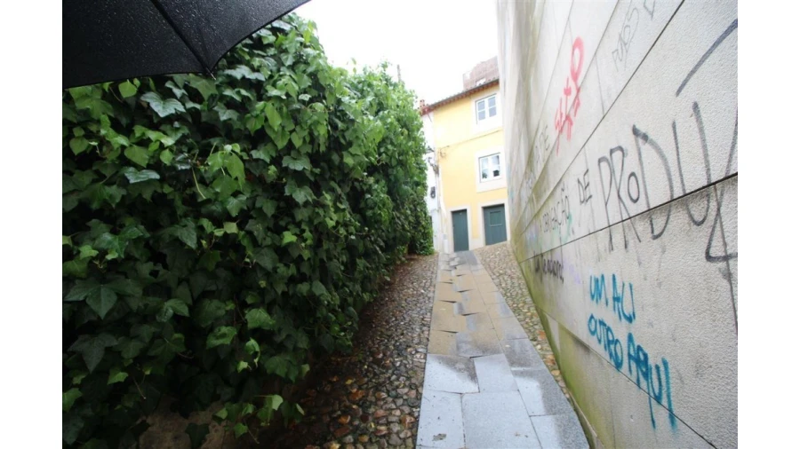 Terreno para Venda em São Martinho do Bispo e Ribeira de Frades Foto 4