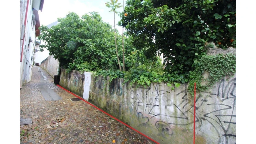 Terreno para Venda em São Martinho do Bispo e Ribeira de Frades Foto 6