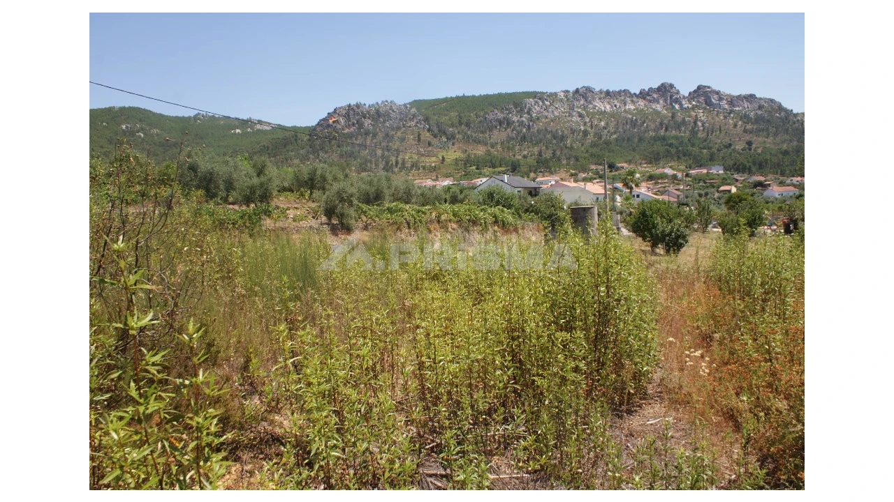 Terreno para Venda em Montes da Senhora Foto 6