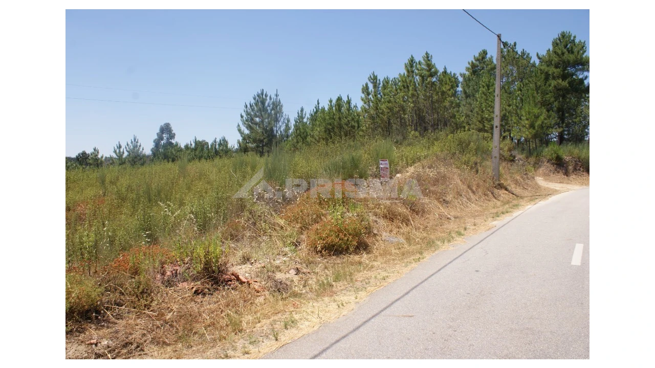 Terreno para Venda em Montes da Senhora Foto 2