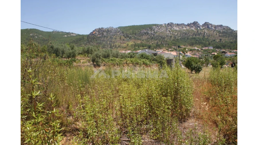 Terreno para Venda em Montes da Senhora Foto 6