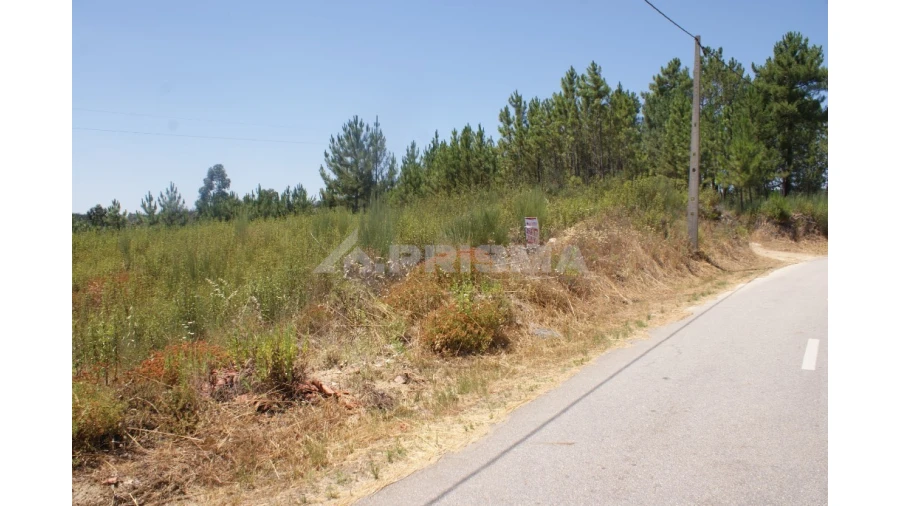 Terreno para Venda em Montes da Senhora Foto 2