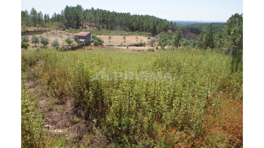 Terreno para Venda em Montes da Senhora Foto 5