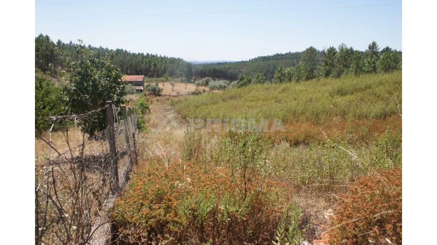 Terreno para Venda em Montes da Senhora Foto 4