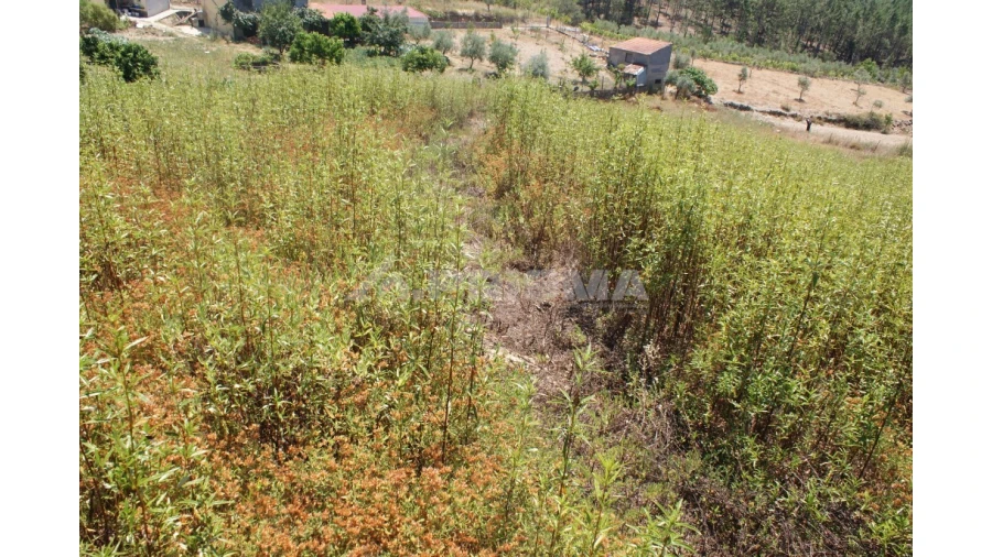 Terreno para Venda em Montes da Senhora Foto 7