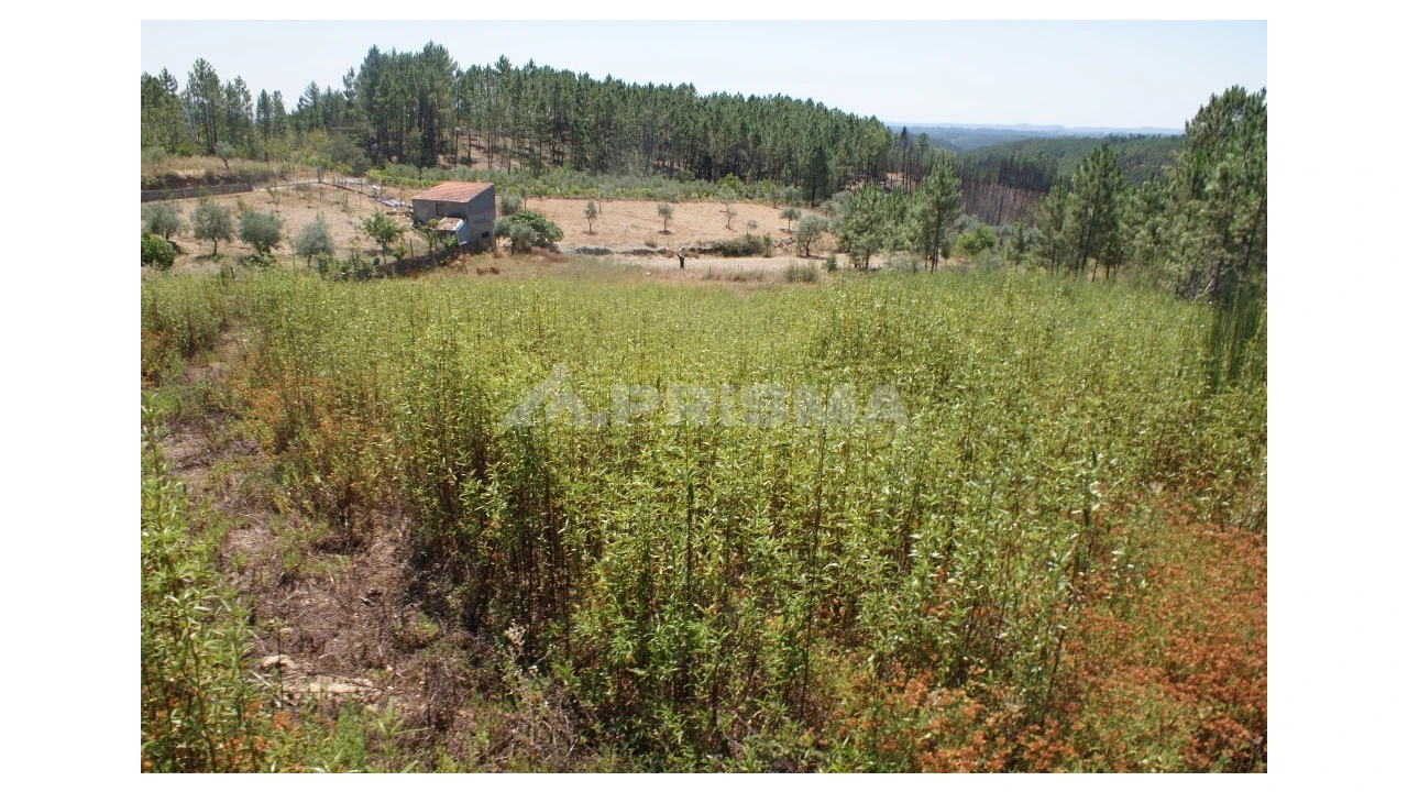 Terreno para Venda em Montes da Senhora Foto 5