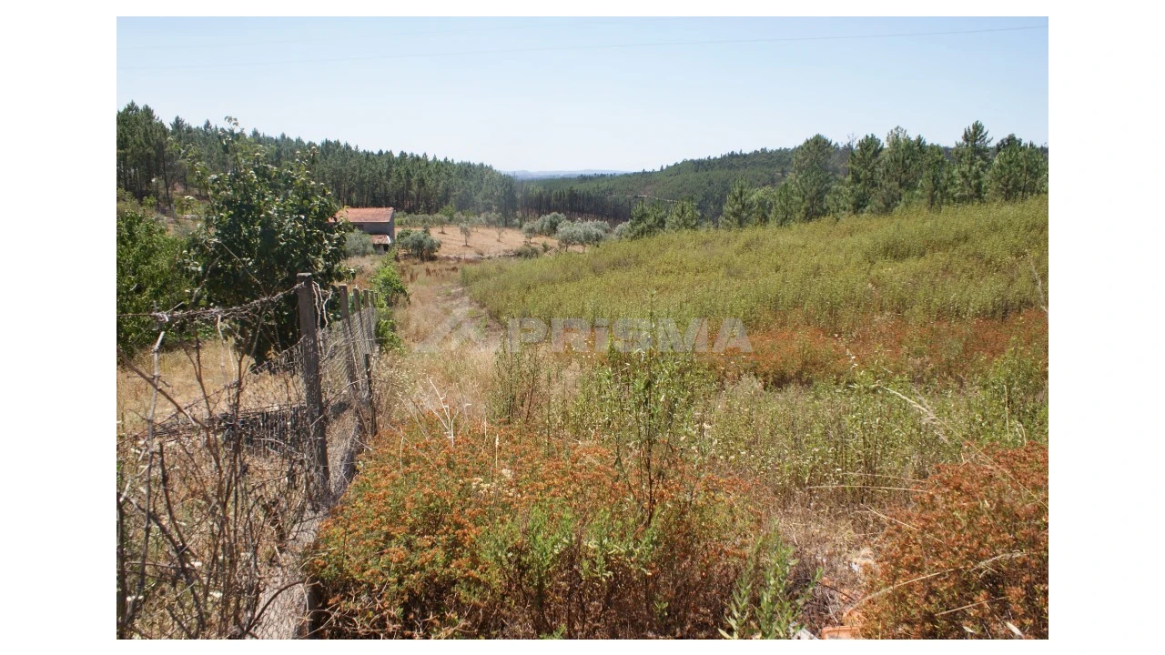 Terreno para Venda em Montes da Senhora Foto 4
