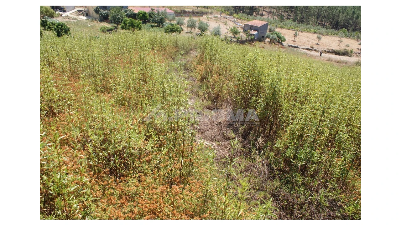 Terreno para Venda em Montes da Senhora Foto 7