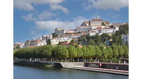 Terreno para Venda em Ceira