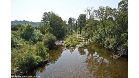 Terreno para Venda em Ceira